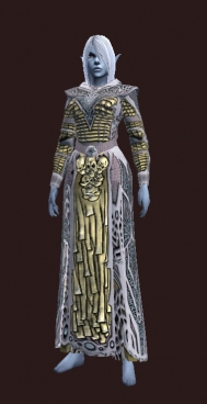 Player character wearing the robe.